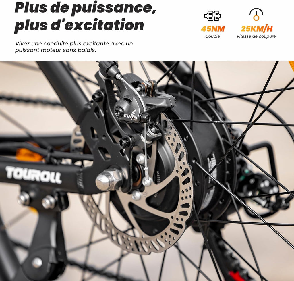Touroll U1 Vélo Électrique, 26"/29" Vélo Électrique en Montagne pour Adulte, VTT électrique 250 W, Batterie Amovible 13AH, Autonomie 65 km, E-Bike 21 Vitesses