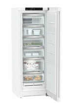 Load image into Gallery viewer, congélateur Armoire FNe5006-22