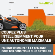 Load image into Gallery viewer, Pack Pro+ Tondeuse à Gazon 40V 460m² + Coupe-Bordures 20V + 2 Batteries 4Ah et 1 Batterie 2Ah + Chargeur Double et Chargeur Simple (Idéal pour l'Entretien du Jardin)